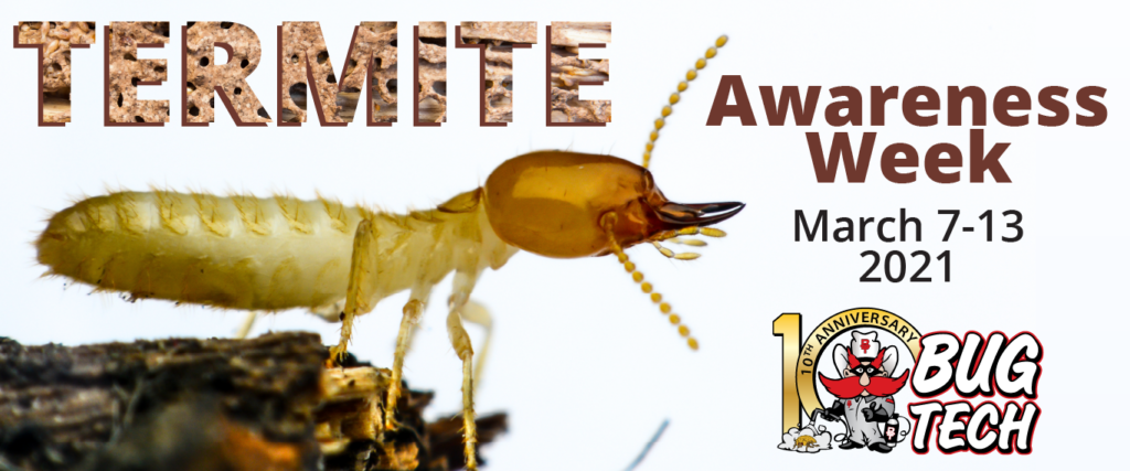 TERMITE AWARENESS WEEK - Bug Tech: Professional Pest ...